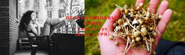 mdpv Белокуриха