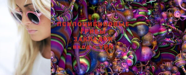 mdpv Белокуриха
