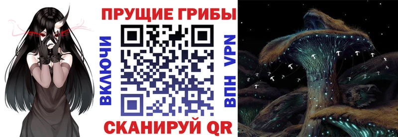 Псилоцибиновые грибы ЛСД  Кремёнки 